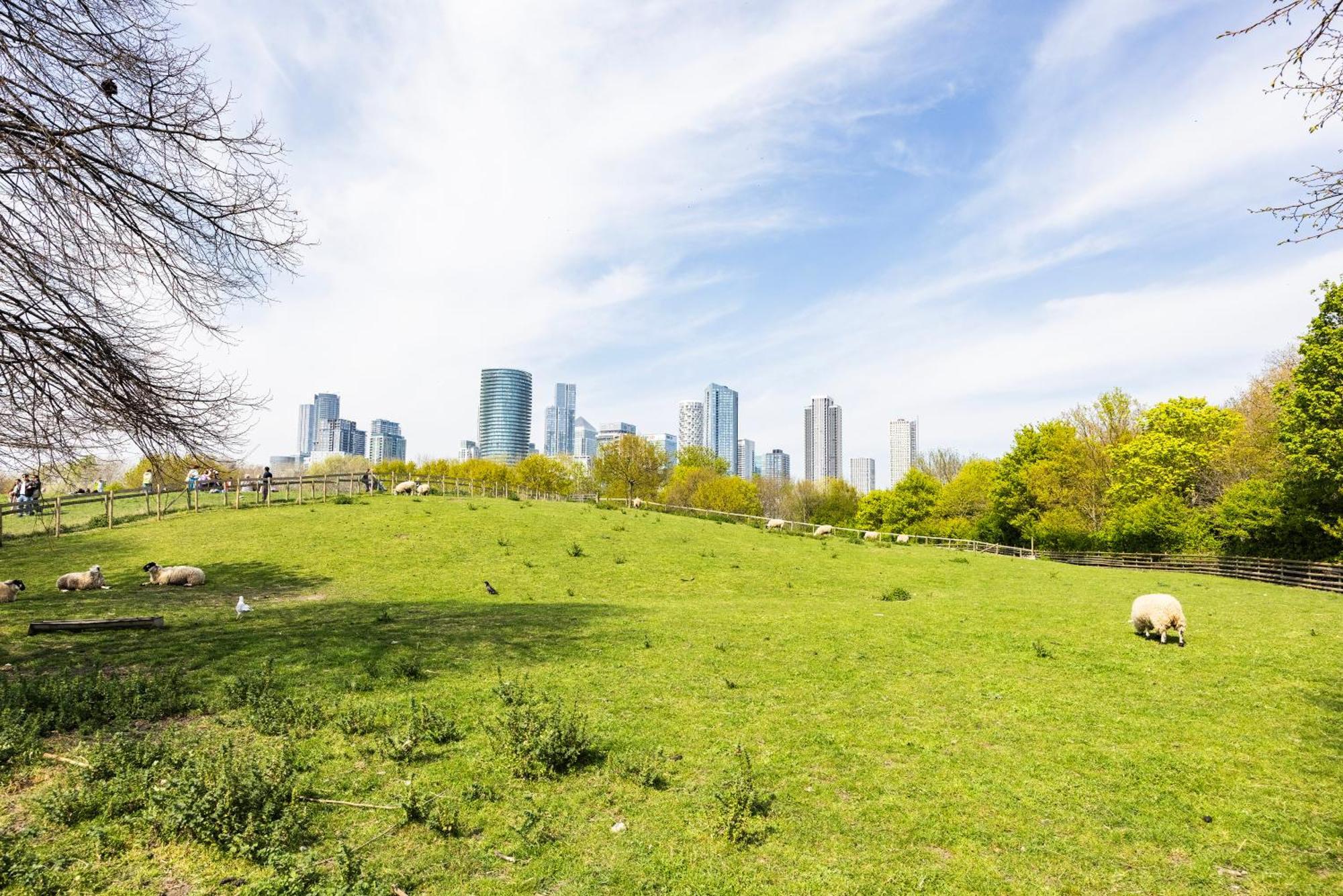 Stylish 2 Bedroom With Garden Free Parking Smart Tvs Close To Thames Riverside And Canary Wharf *